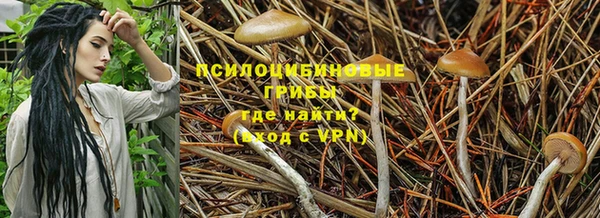 герыч Нефтегорск