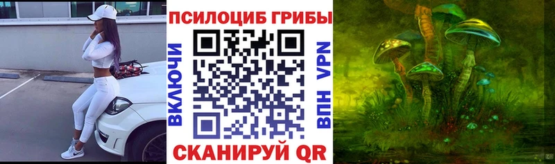 Галлюциногенные грибы Cubensis  Печоры 